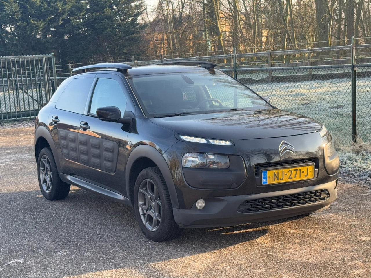 Citroën C4 Cactus - 1.2 PureTech Shine /OLIE DRUKPROBLEEM/ - AutoWereld.nl