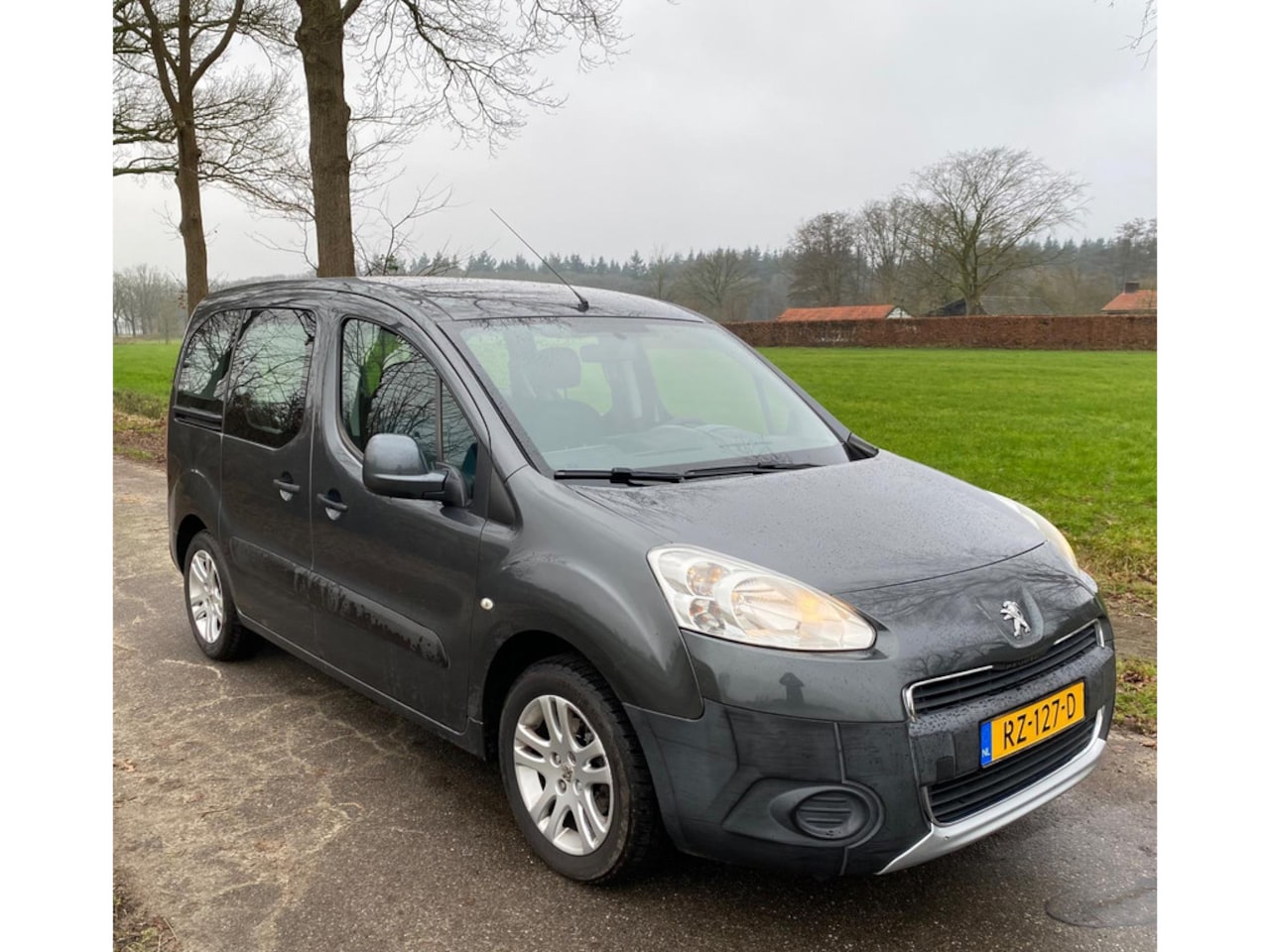 Peugeot Partner Tepee - 1.6 VTi Access 1.6 VTi Access - AutoWereld.nl