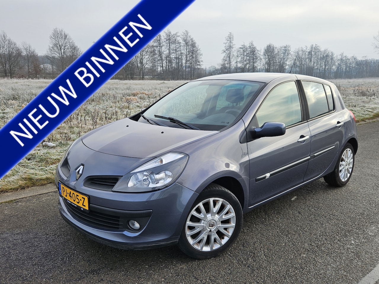 Renault Clio - 1.6-16V Rip Curl 1.6-16V Rip Curl - AutoWereld.nl