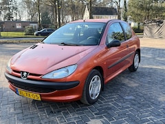 Peugeot 206 - 1.1 XR Stuurbkr. Central NAP