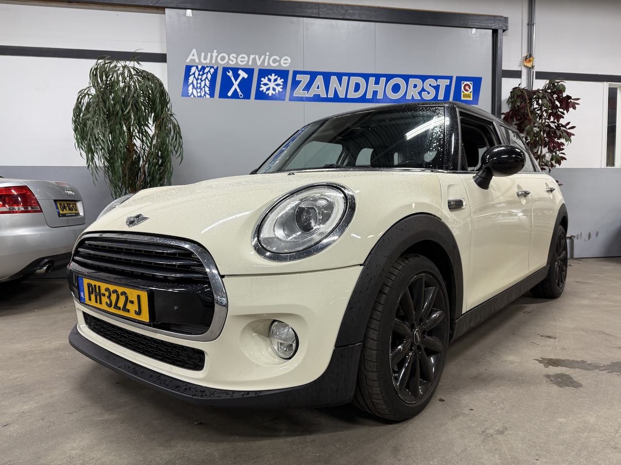 MINI Cooper - Mini 1.5 Chili Serious Business - AutoWereld.nl