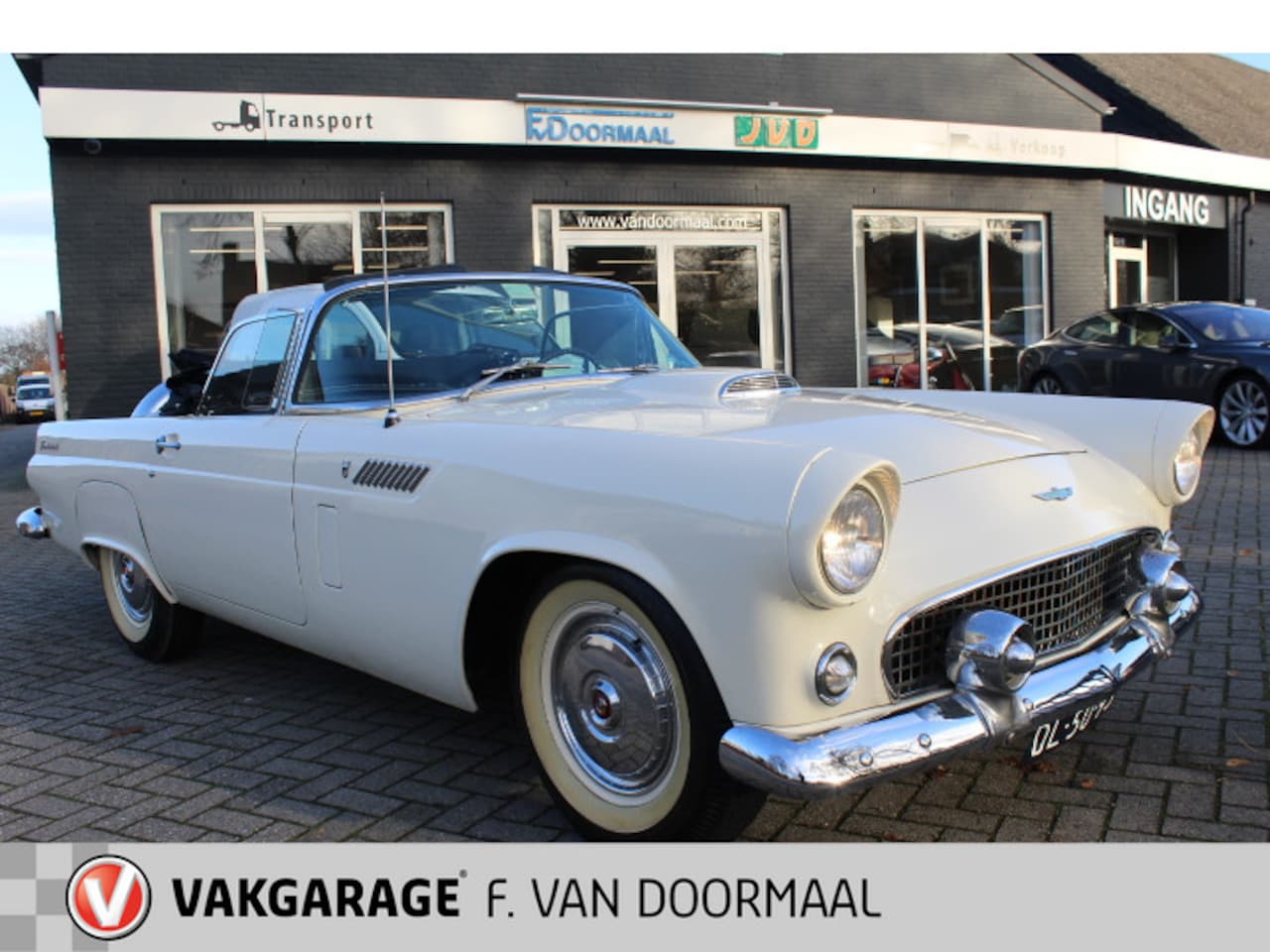 Ford Thunderbird - USA - 1956 - AutoWereld.nl