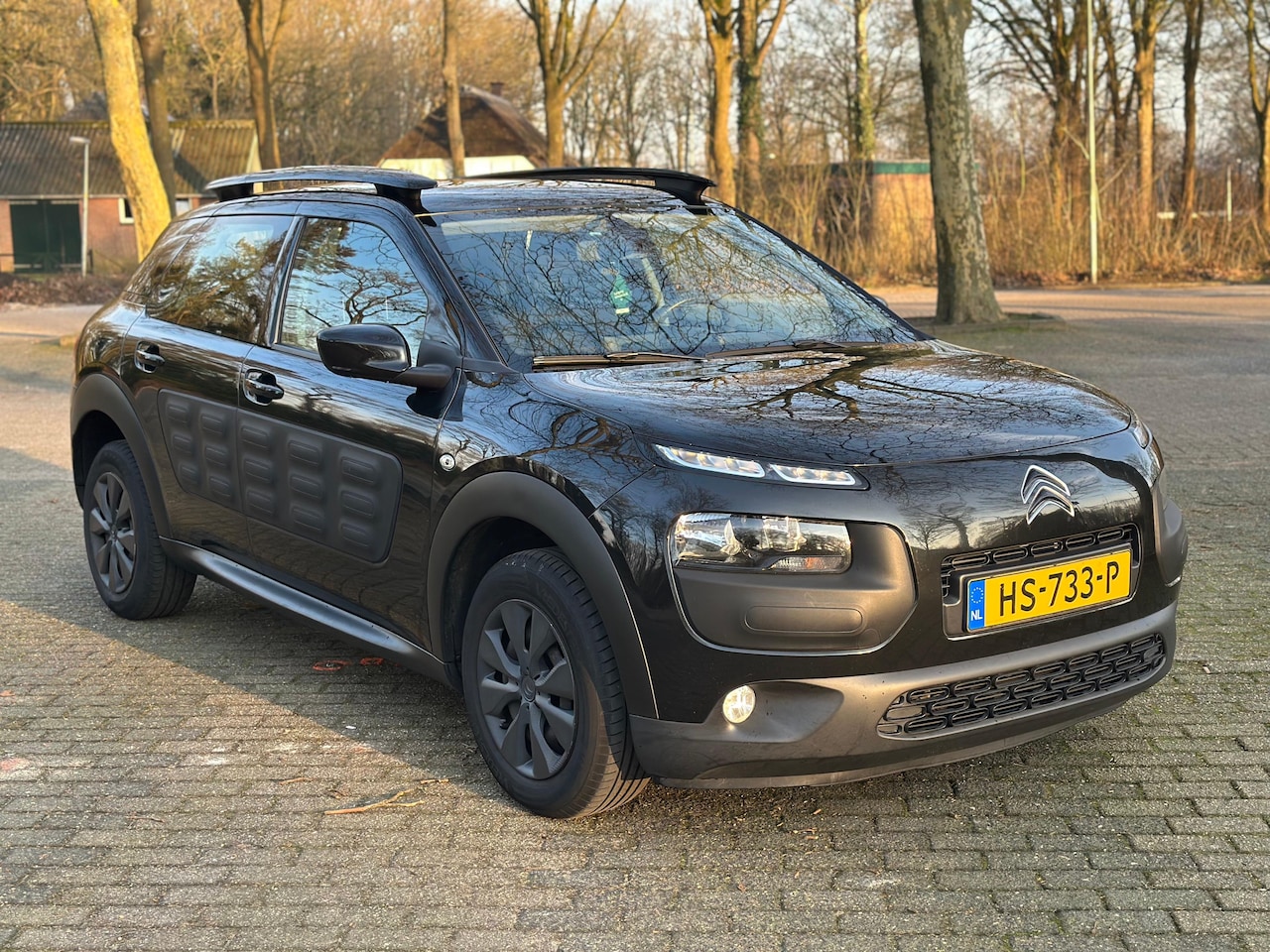 Citroën C4 Cactus - 1.6 BlueHDi Business - AutoWereld.nl