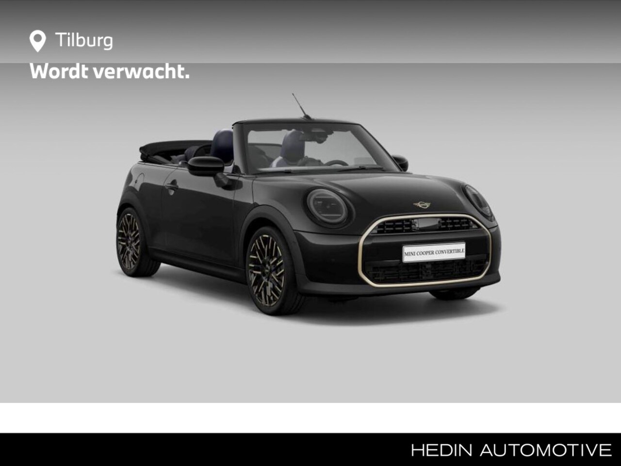 MINI Cabrio - MINI C | Favoured Trim | Pakket M | Panoramadak | Head-Up- Display | Verwarmde Stoelen | D - AutoWereld.nl