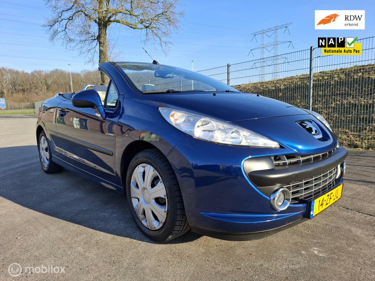 Peugeot 207 CC - 1.6 VTi/cabrio/airco/cruise - AutoWereld.nl