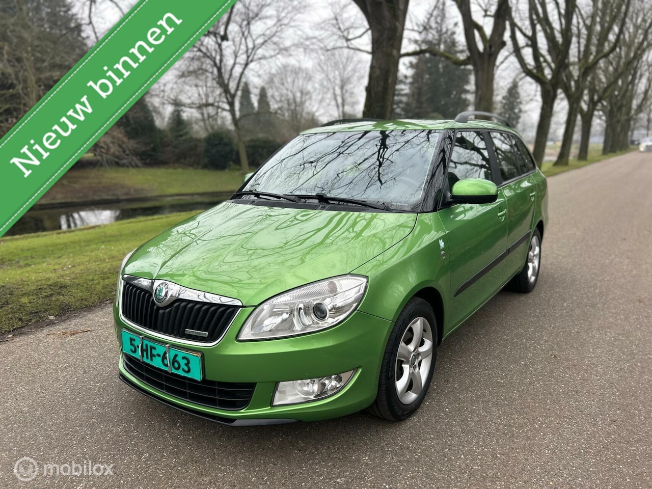 Skoda Fabia Combi - 1.2 TDI Greenline / NIEUWE APK / AIRCO / - AutoWereld.nl