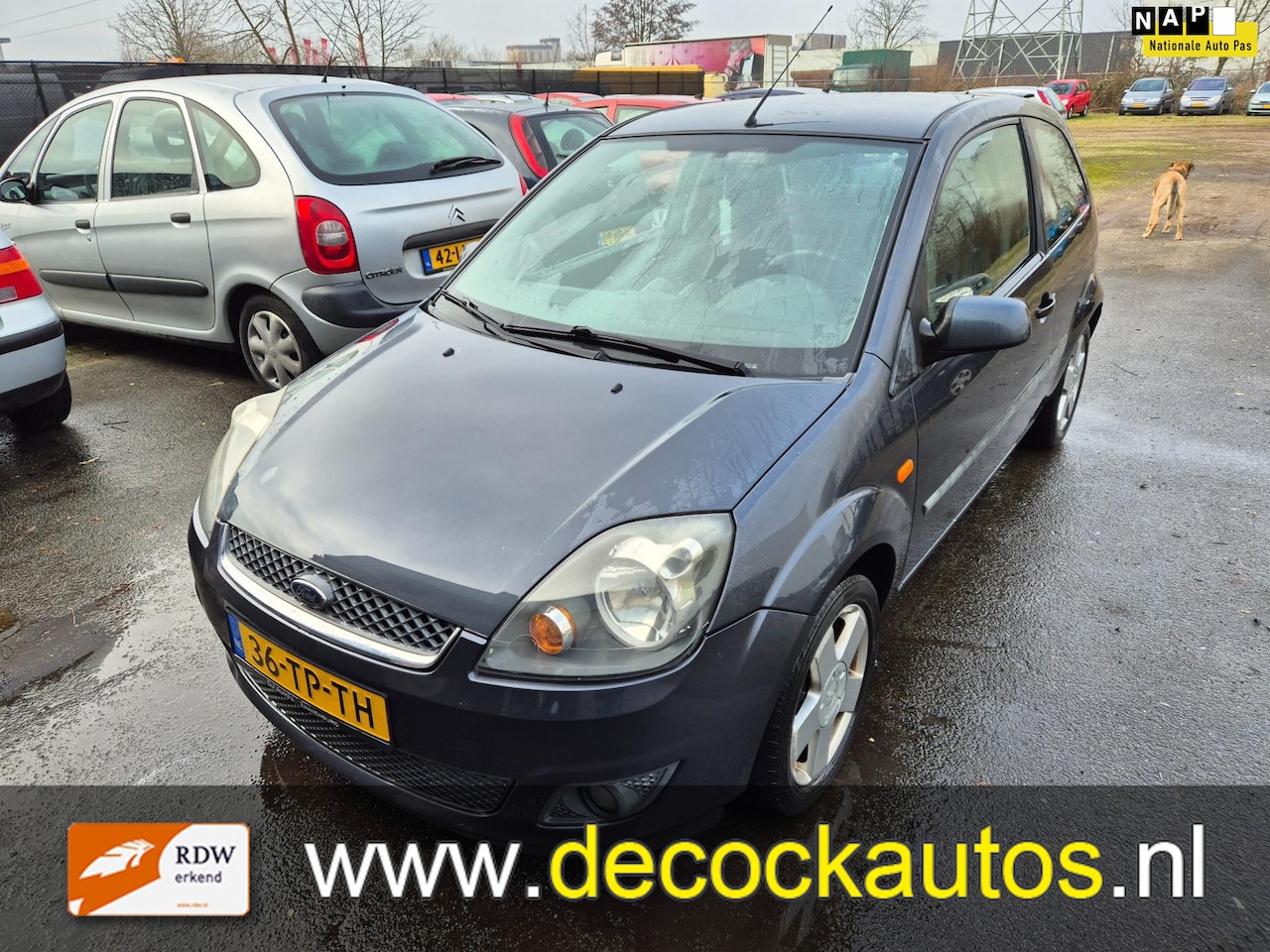 Ford Fiesta - 1.3-8V Futura 1.3-8V Futura - AutoWereld.nl