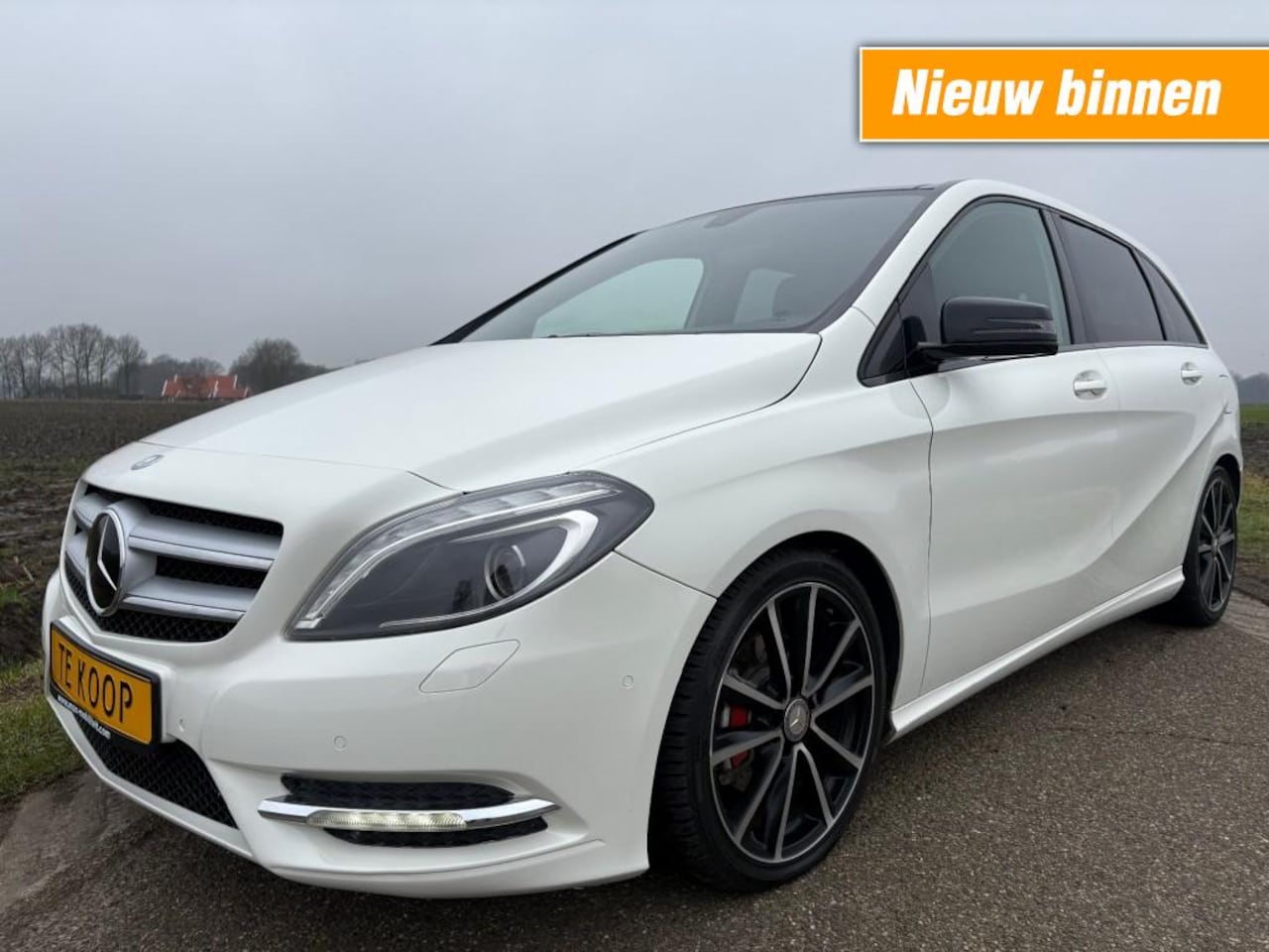 Mercedes-Benz B-klasse - 180 D BLEU EFFICENCY / PANO / LEER / VOLL - AutoWereld.nl