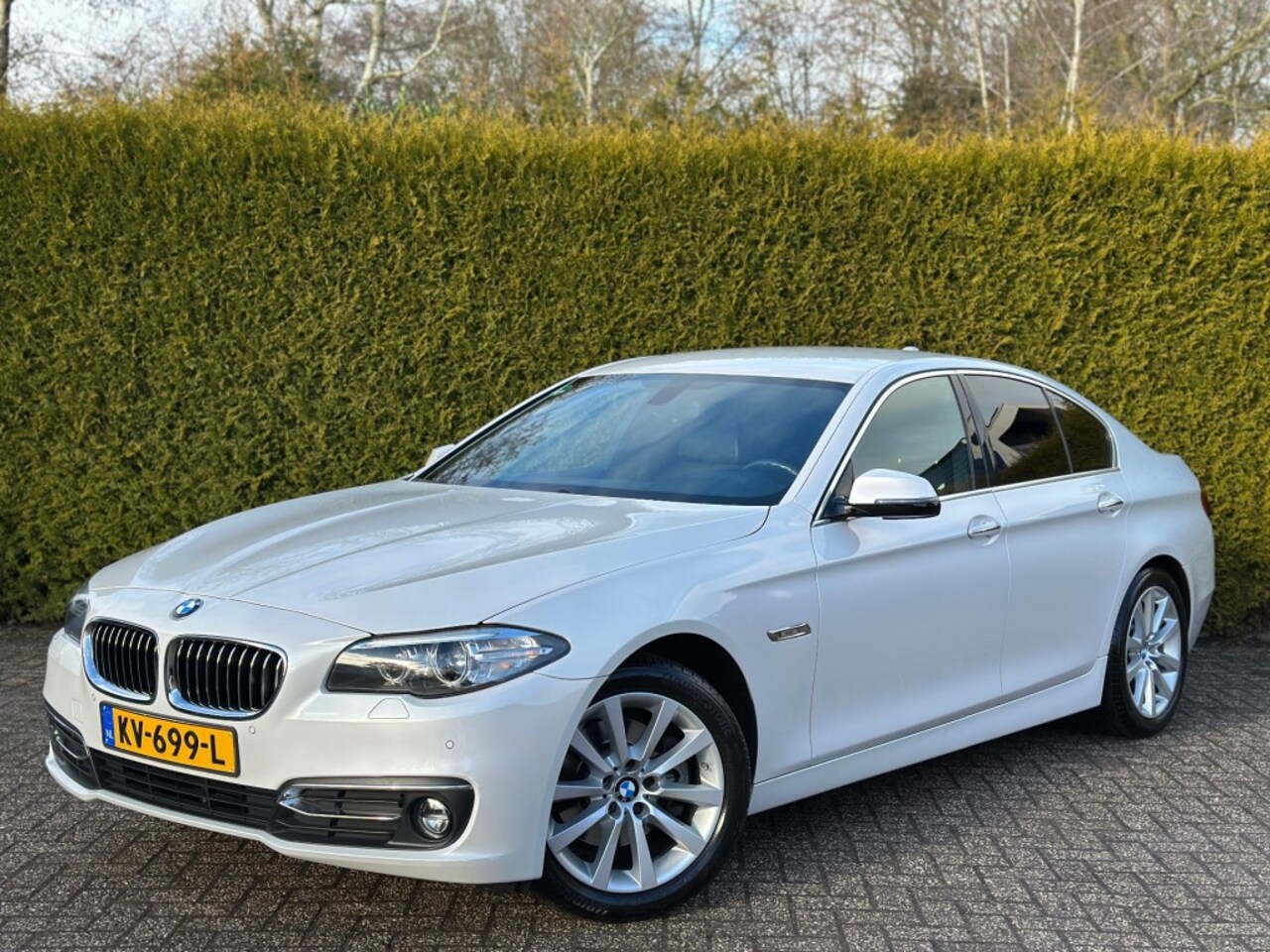 BMW 5-serie - 520i sedan High Executive Luxury Line  Navigatie professional  C - AutoWereld.nl