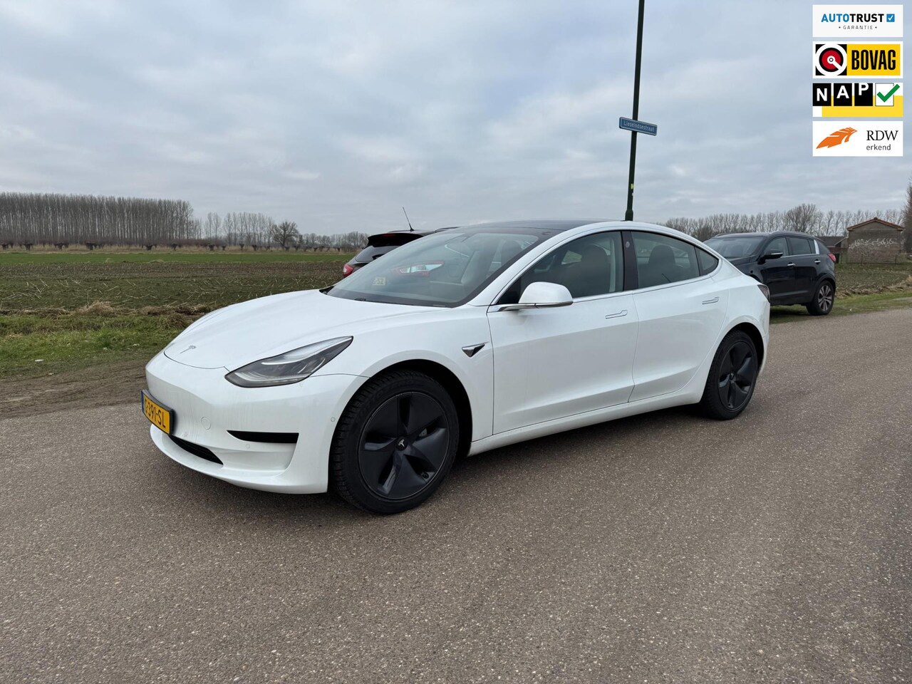 Tesla Model 3 - Standard RWD Plus 60 kWh 70676 KM PANORAMADAK - AutoWereld.nl