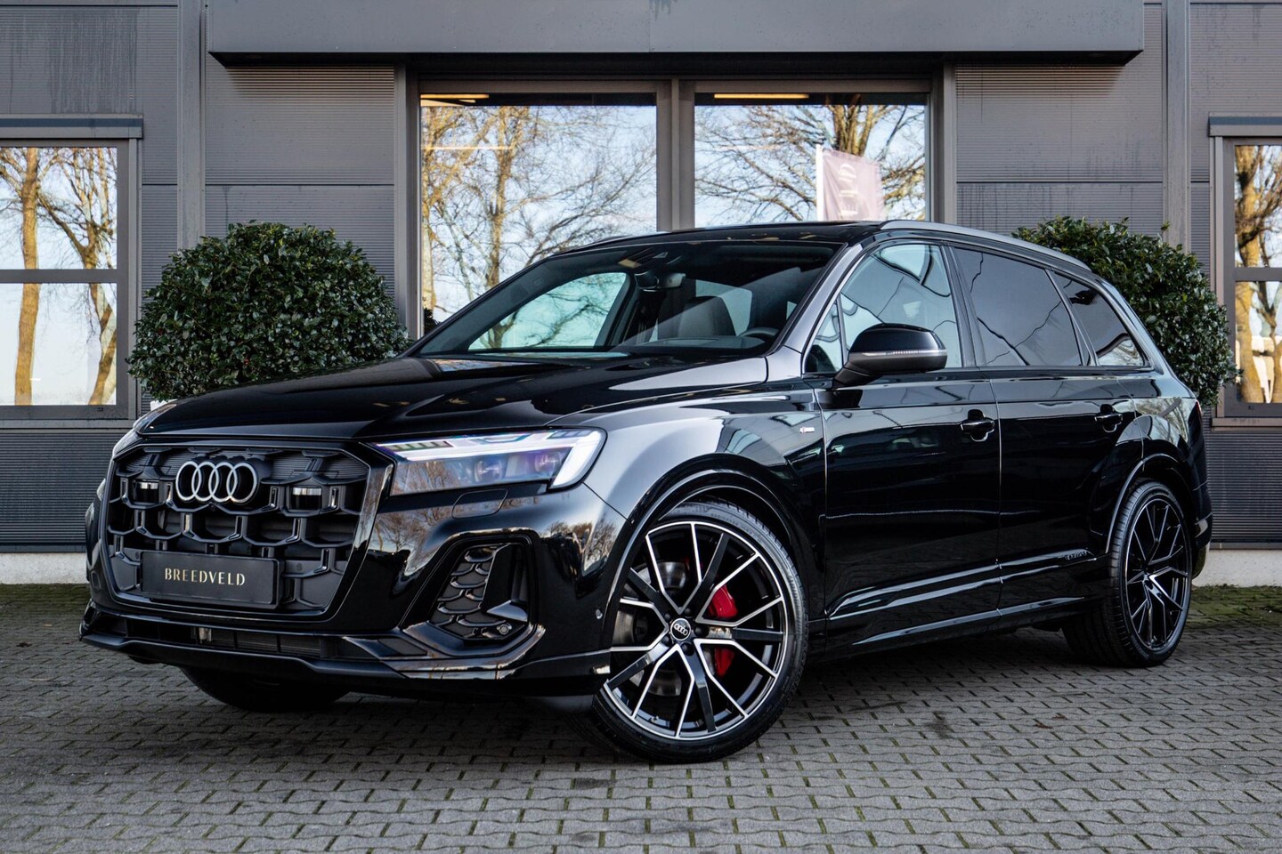 Audi Q7 - 50 TDI quattro Pro Line Advanced 7p 50 TDI quattro Pro Line Advanced 7p - AutoWereld.nl