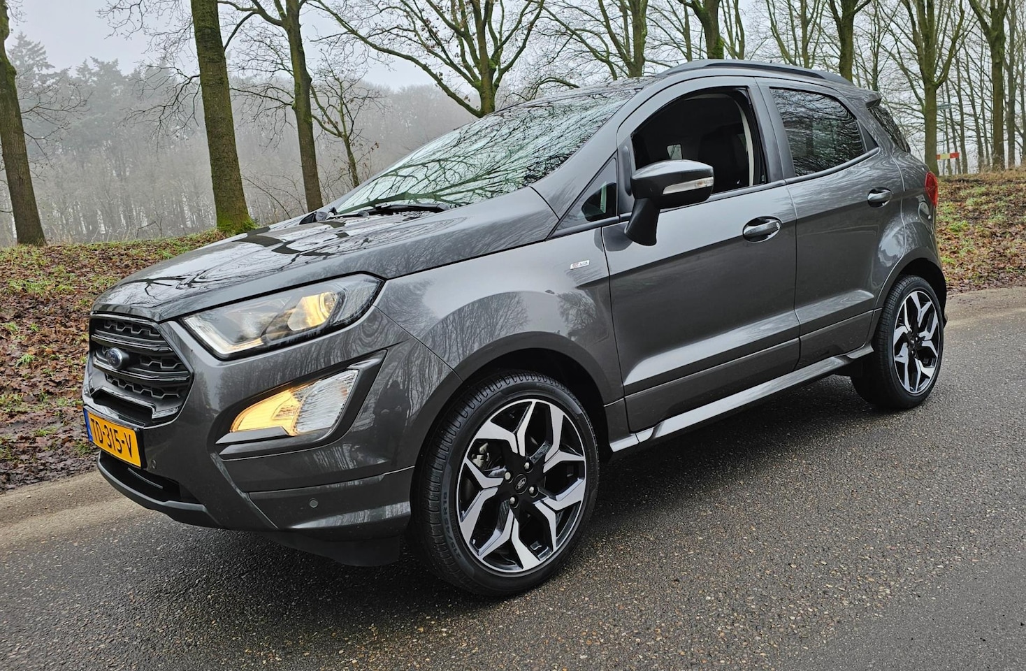 Ford EcoSport - 1.0 EcoBoost ST-Line NL Auto 1e Eigenaar - AutoWereld.nl