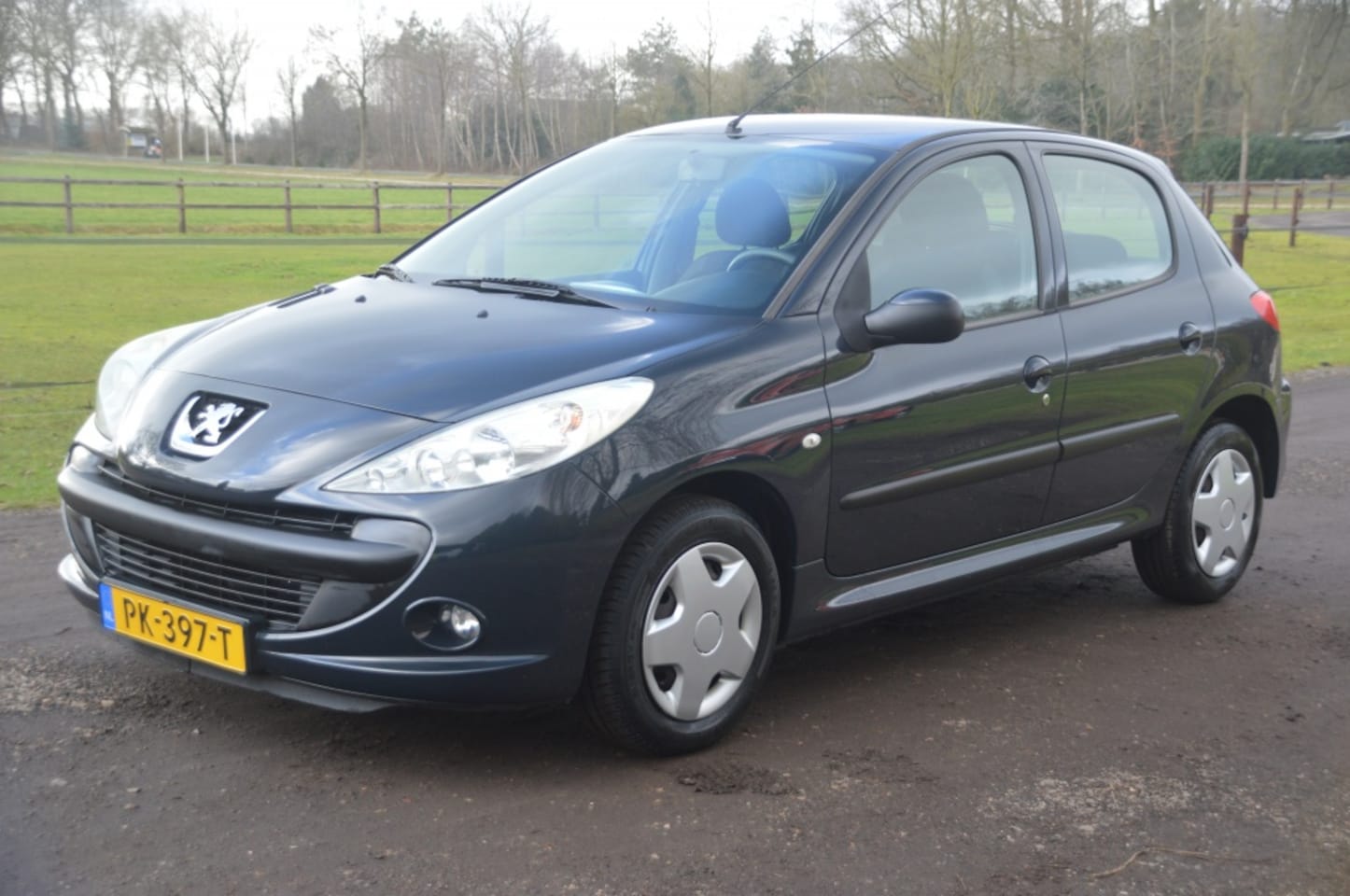 Peugeot 206 - 1.4 Millesim 200 Airco 87.000 km - AutoWereld.nl