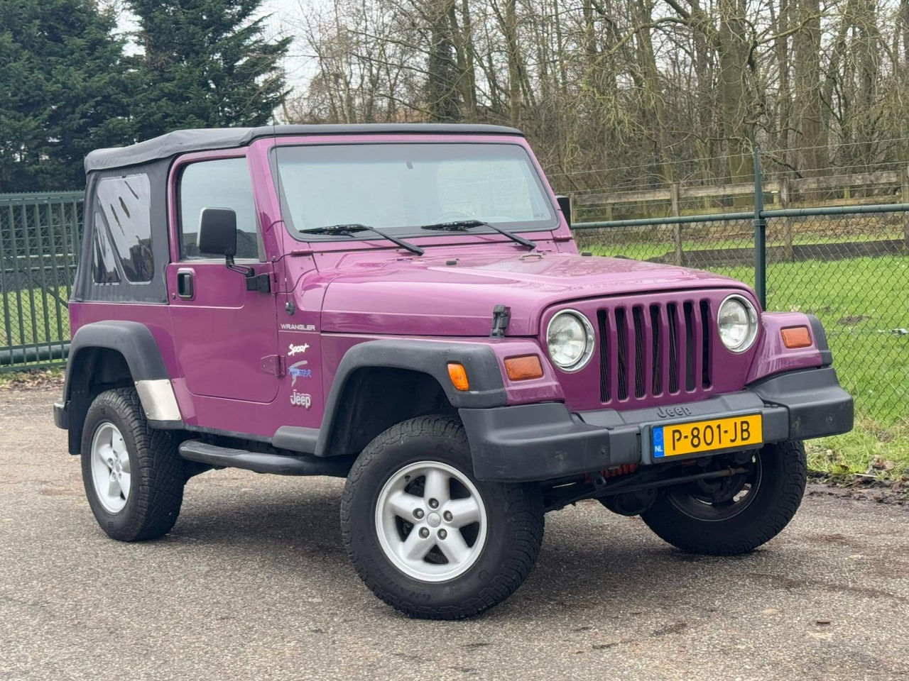 Jeep Wrangler - 2.5 /Soft top/Uniek/Leuke kleur/ - AutoWereld.nl