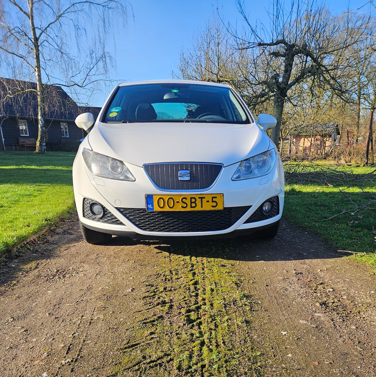 Seat Ibiza - 1.2 TDI Style Ecomotive - AutoWereld.nl