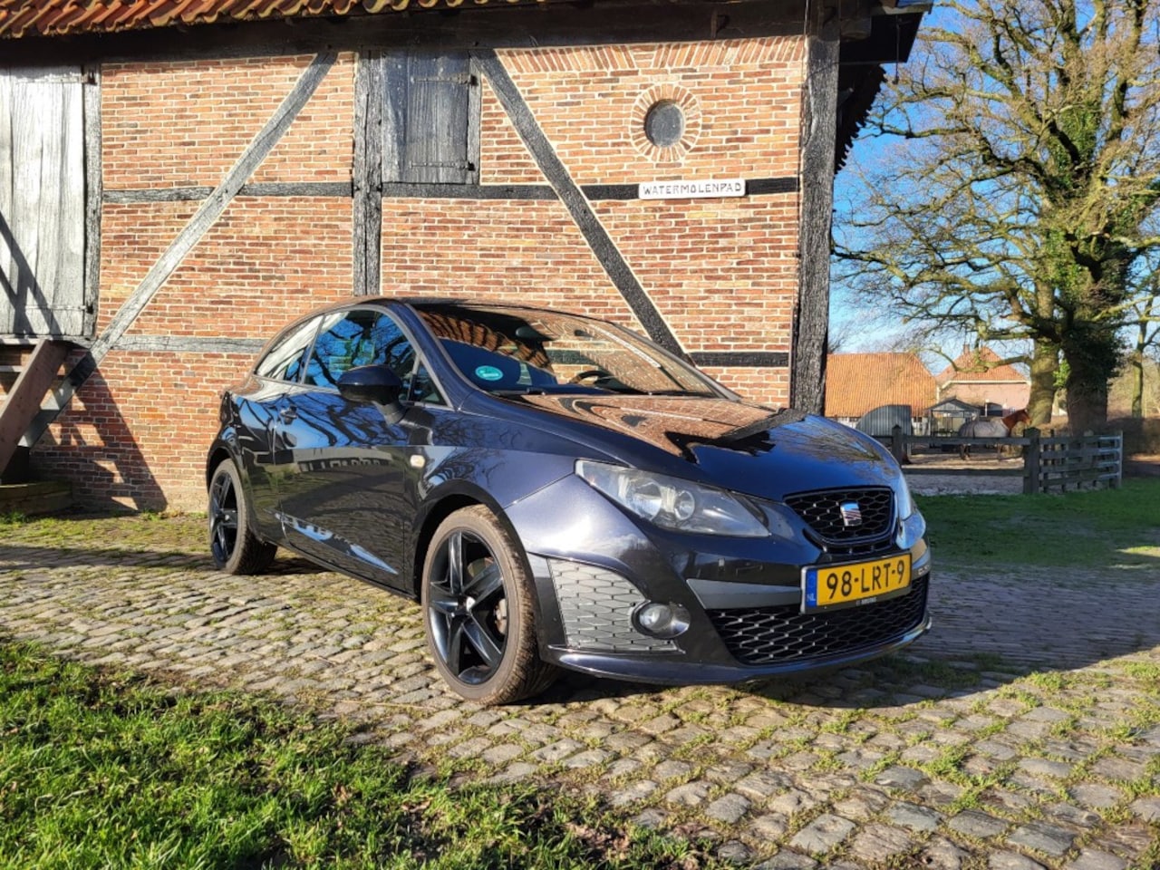 Seat Ibiza - Cupra 1.4 TSI Bocanegra - AutoWereld.nl