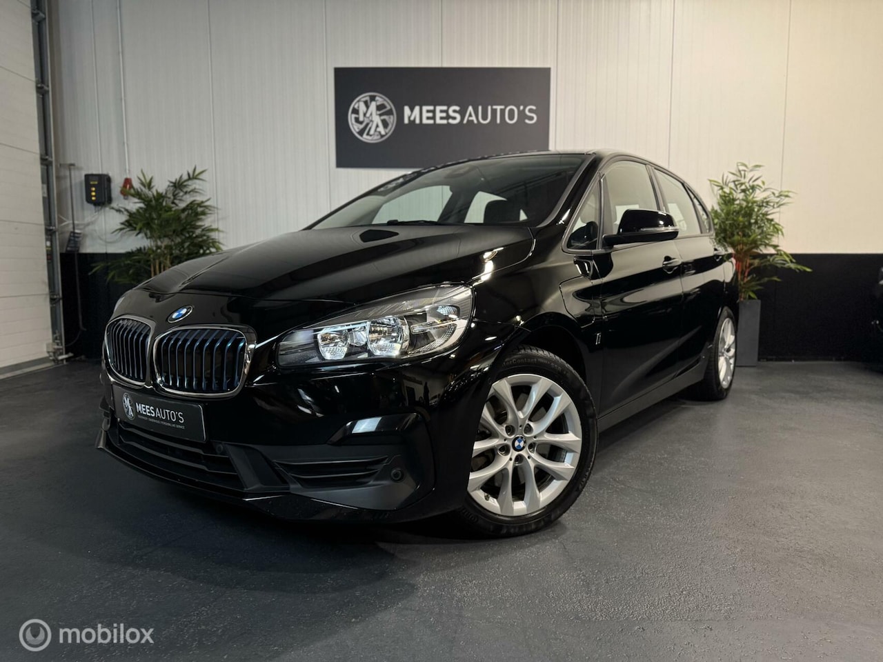 BMW 2-serie Active Tourer - 225xe iPerformance Executive|PDC| - AutoWereld.nl