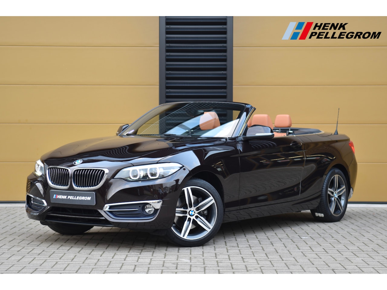 BMW 2-serie Cabrio - 220i High Executive * Luxury line * Leder * Achteruitrijcamera * Keyless entry * Navigatie - AutoWereld.nl