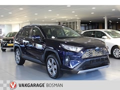 Toyota RAV4 - 2.5 Hybrid AWD/TeamD/Camera/Standkachel/Dashcam