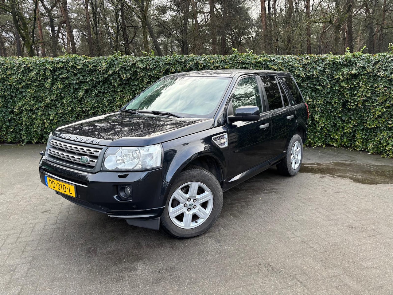 Land Rover Freelander - 2.2 TD4 SE Automaat | Leer | Cruise Control - AutoWereld.nl