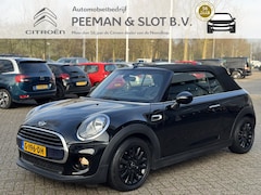 MINI Cabrio - 1.5 Cooper Pepper Serious Business Leder|