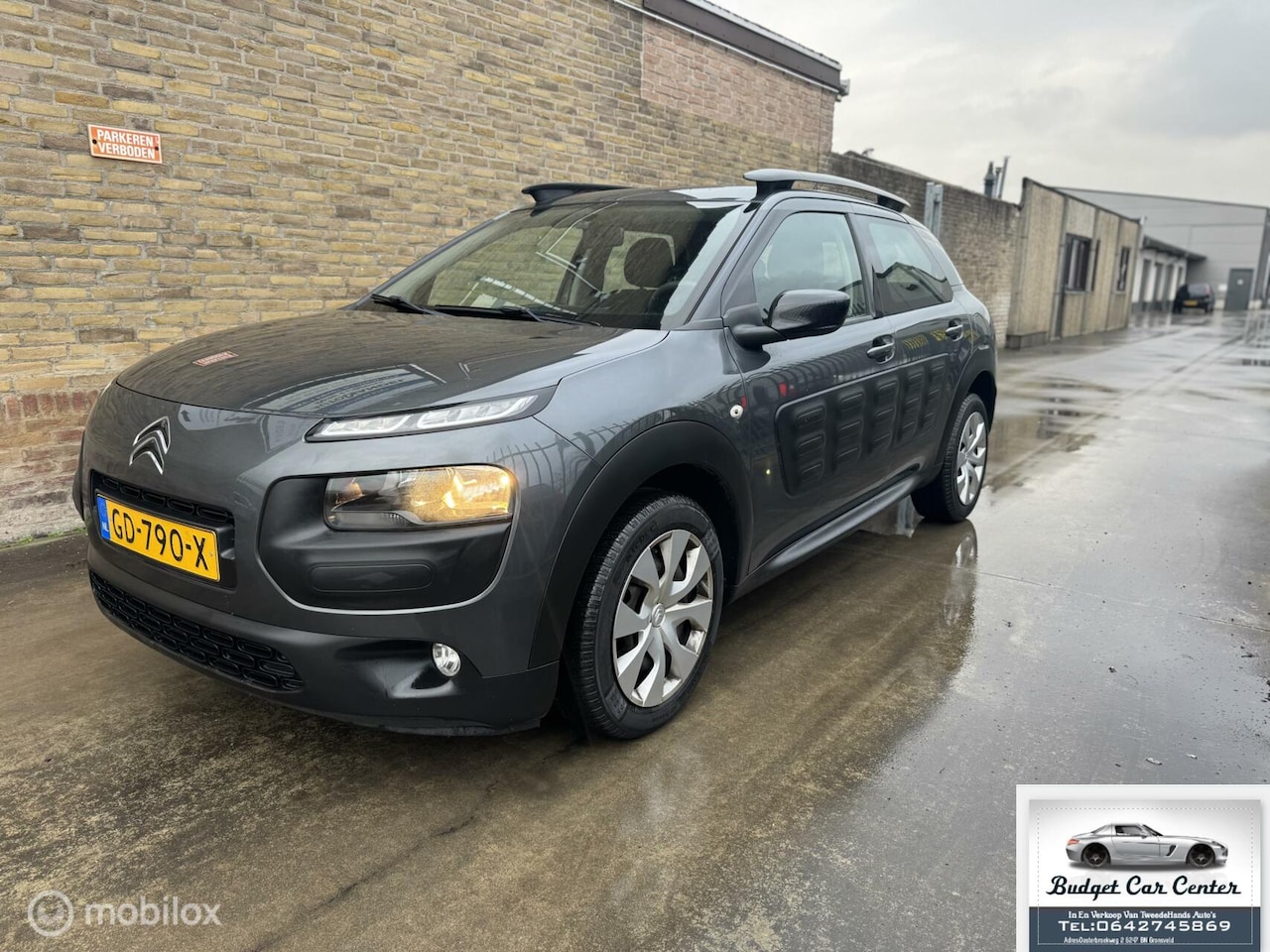 Citroën C4 Cactus - 1.2 PureTech Business 1.2 PureTech Business - AutoWereld.nl