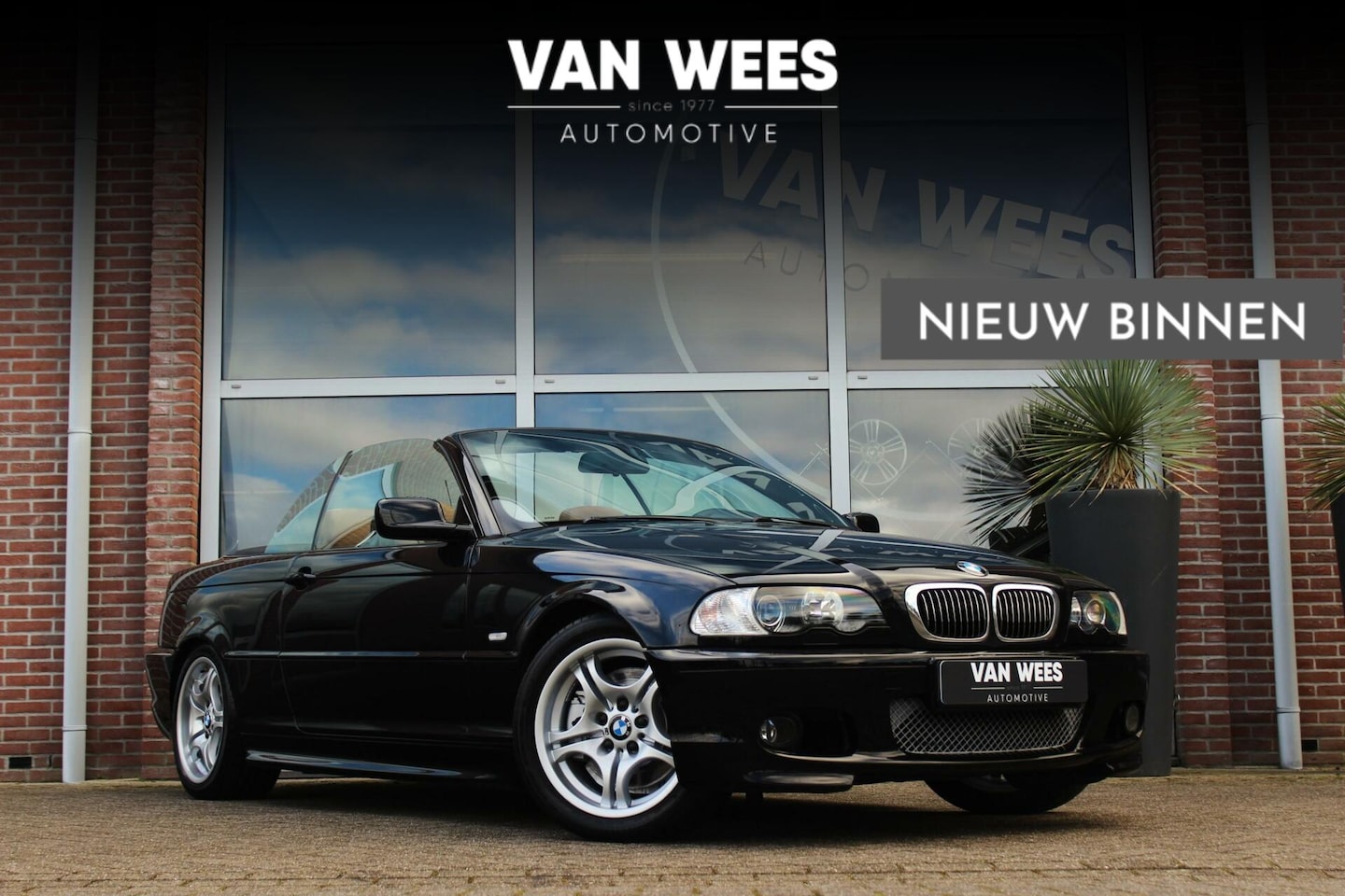 BMW 3-serie Cabrio - 330Ci E46 Executive M-pakket | 231 pk | Handbak | Sportstoelen | Xenon | Navi | Harman-kar - AutoWereld.nl