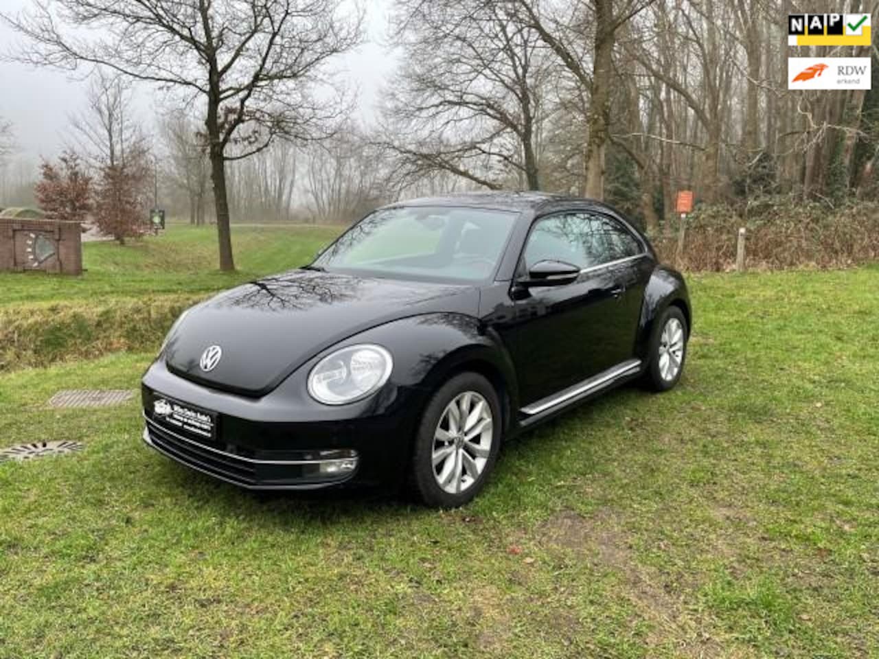 Volkswagen Beetle - 1.2 TSI Design 1.2 TSI Design - AutoWereld.nl