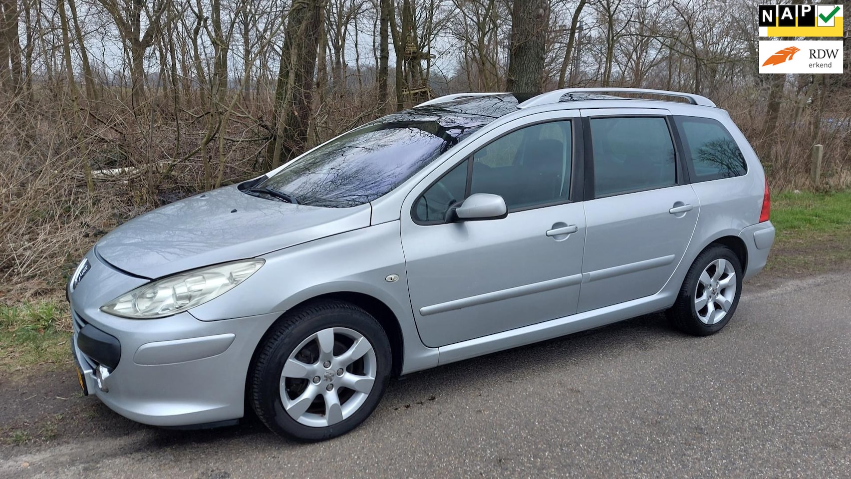 Peugeot 307 SW - 1.6-16V AUTOMAAT - AutoWereld.nl