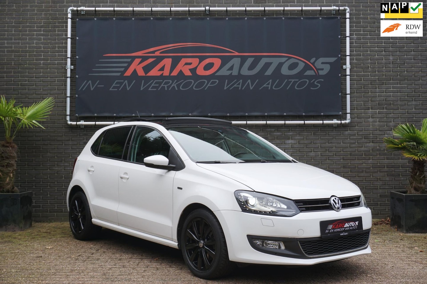 Volkswagen Polo - 1.2 TSI 105PK Life Pano Xenon Led Cruis Navi - AutoWereld.nl