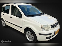 Fiat Panda - 1.2 Young