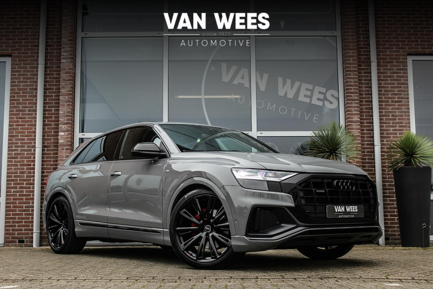 Audi Q8 - 50 TDI Quattro Competition | V6 286 pk | S-line | 23 inch | B&O | Camera360 | Pano | Leer - AutoWereld.nl