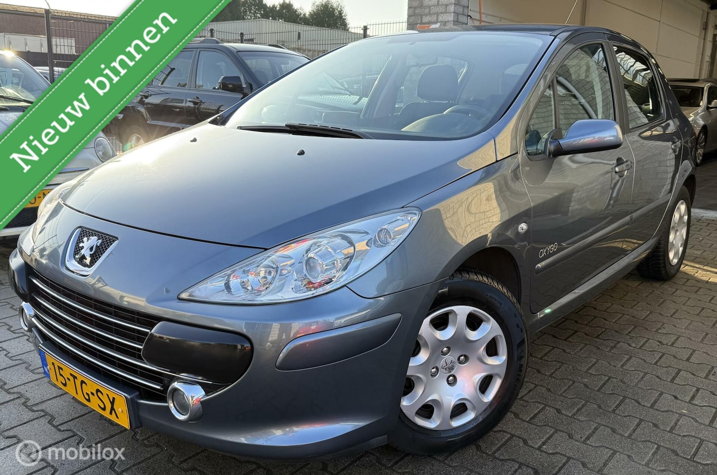 Peugeot 307 - 1.6-16V Oxygo / 93.000KM / 2De Eigenaar! / N.A.P - AutoWereld.nl