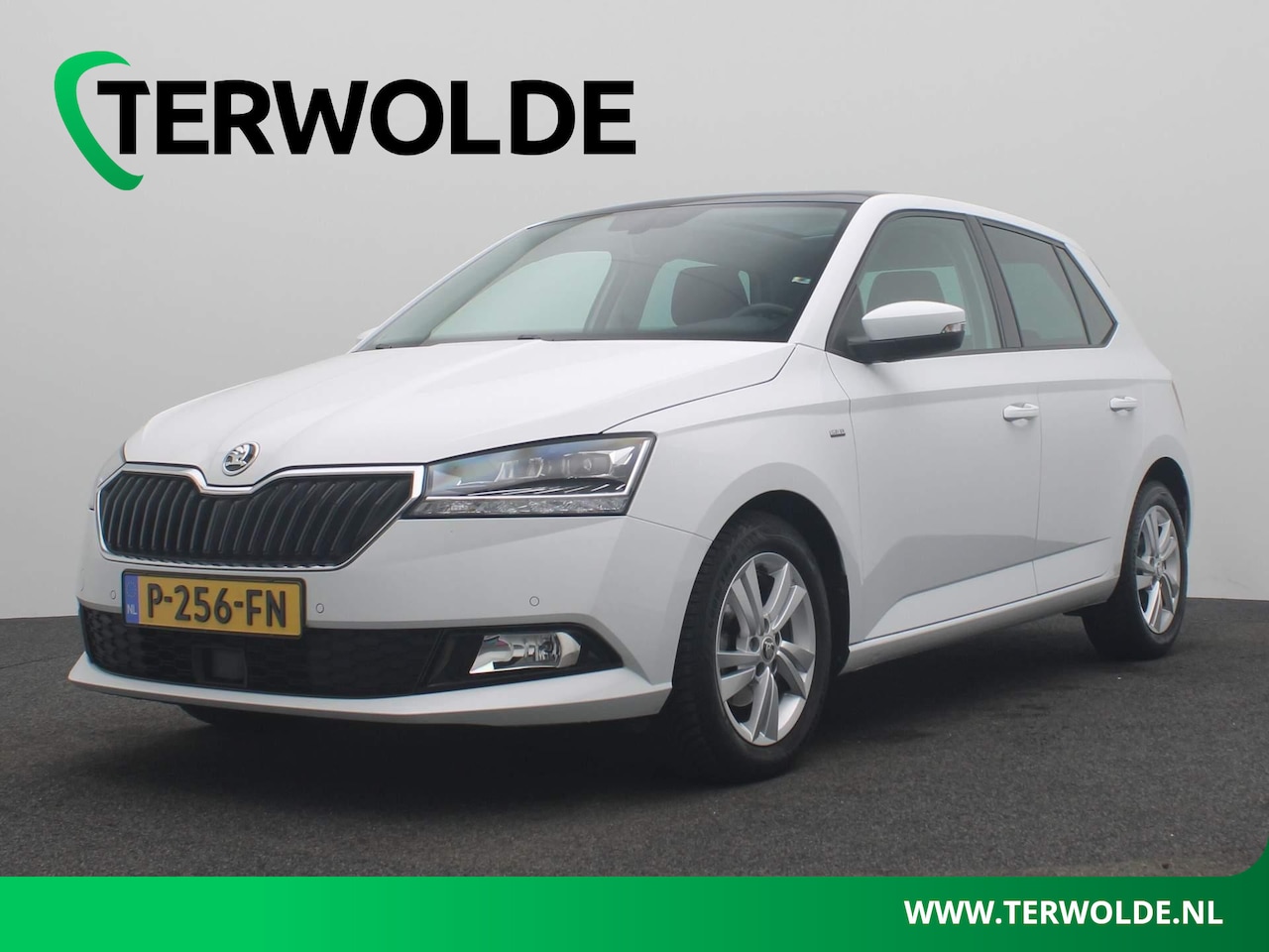 Skoda Fabia - 1.0 TSI Clever | Panoramadak | Stoelverw. | LED koplampen | - AutoWereld.nl