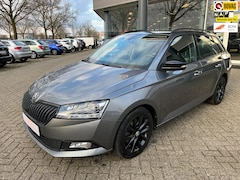 Skoda Fabia - 1.0 TSI Business Edition, Automaat, Navi, Apple carplay, clima, stoelverwarming, etc