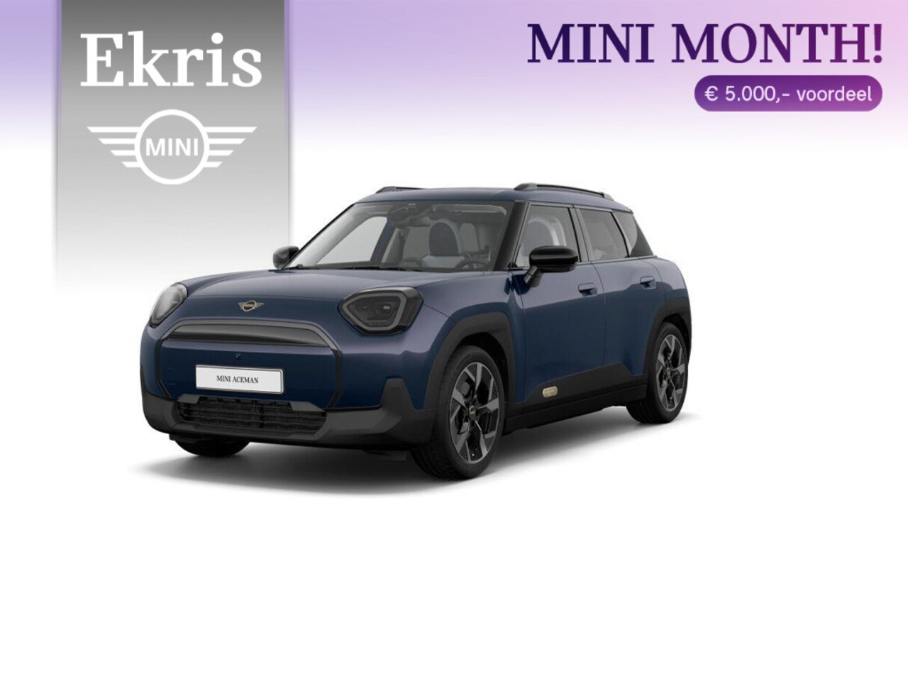 MINI Aceman - E Classic Trim + Package L - AutoWereld.nl