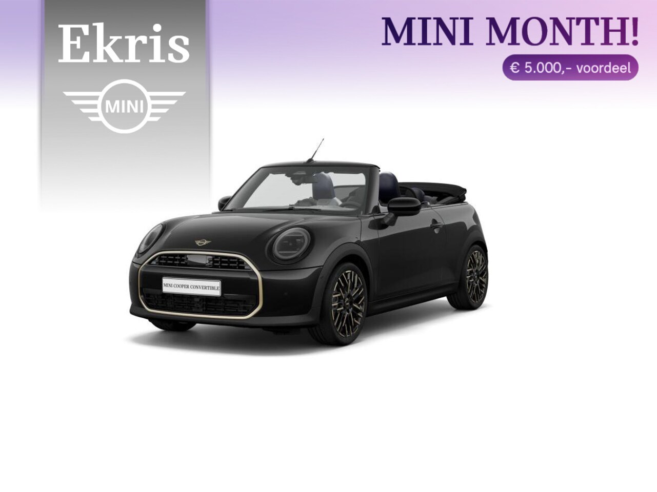 MINI Cabrio - C Favoured Trim + Package M - AutoWereld.nl