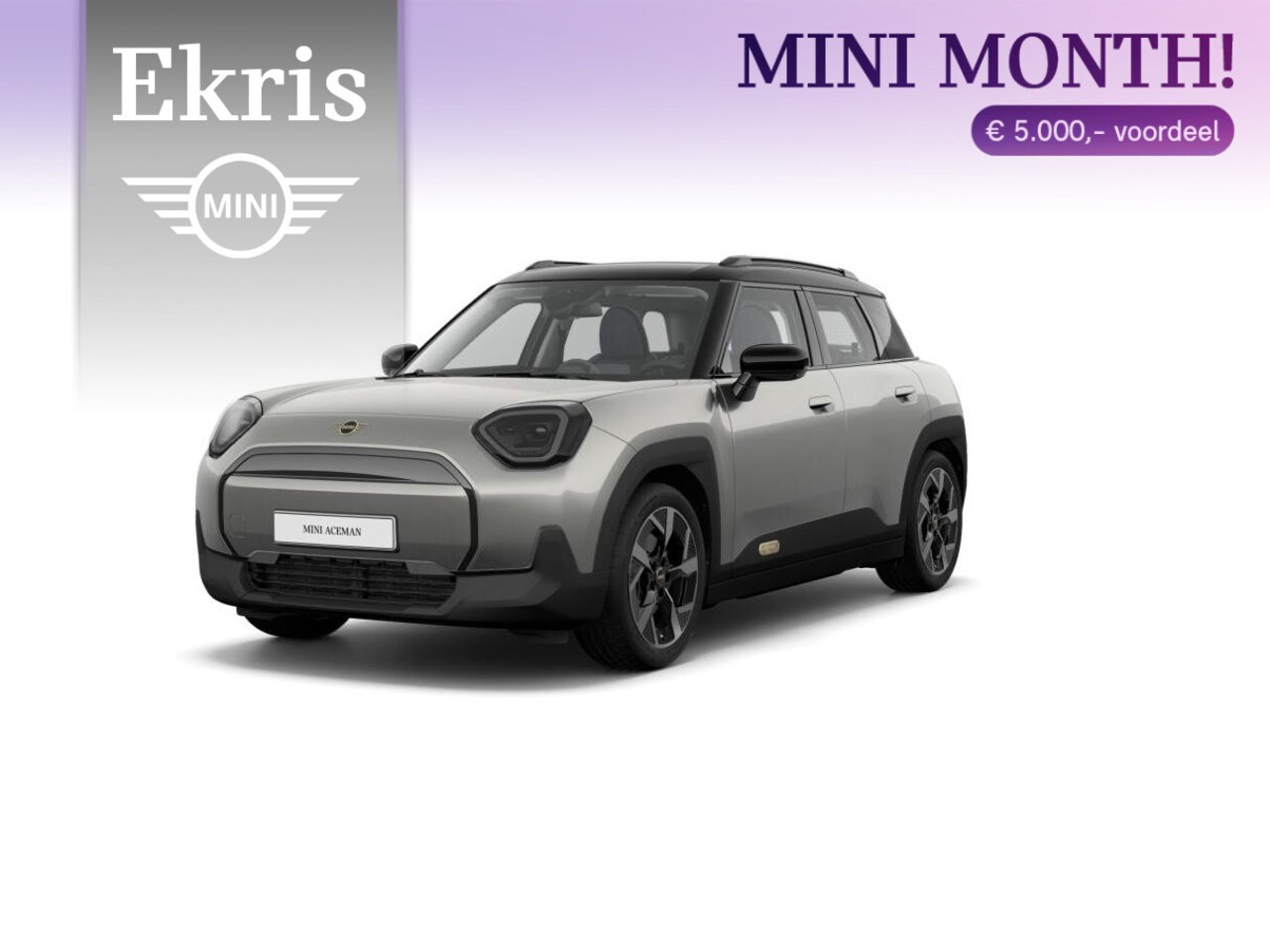 MINI Aceman - E Classic Trim + Package S + MINI Month - AutoWereld.nl