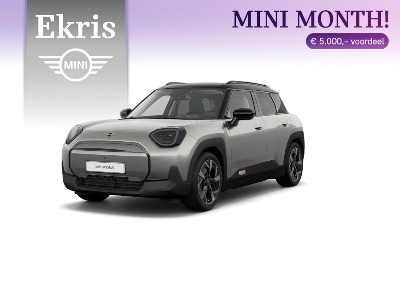 MINI Aceman - E Classic Trim + Package L + MINI Month - AutoWereld.nl