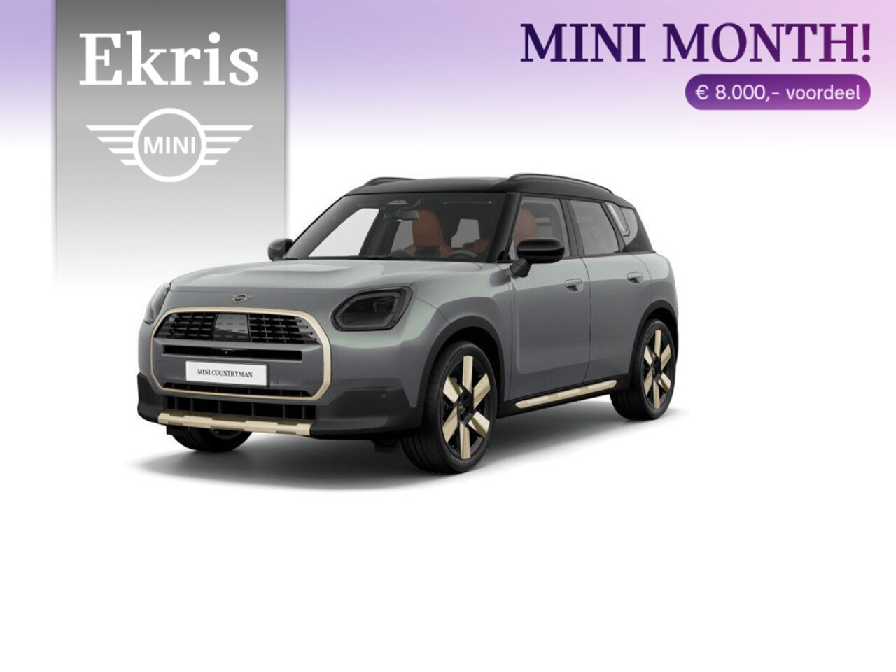 MINI Countryman - C Favoured Trim + Package L - AutoWereld.nl