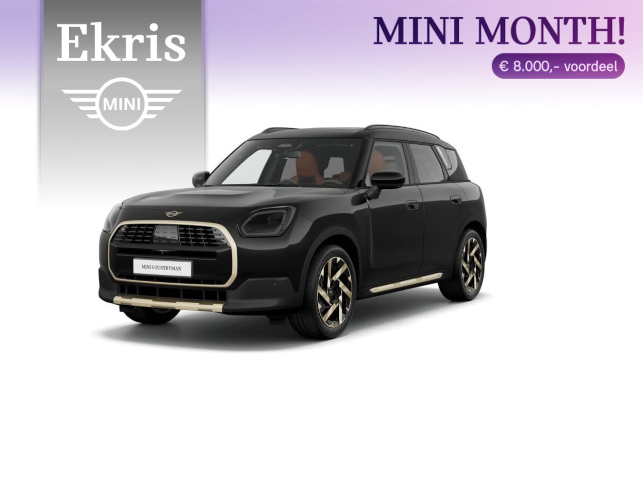 MINI Countryman - C Favoured Trim + Package L - AutoWereld.nl