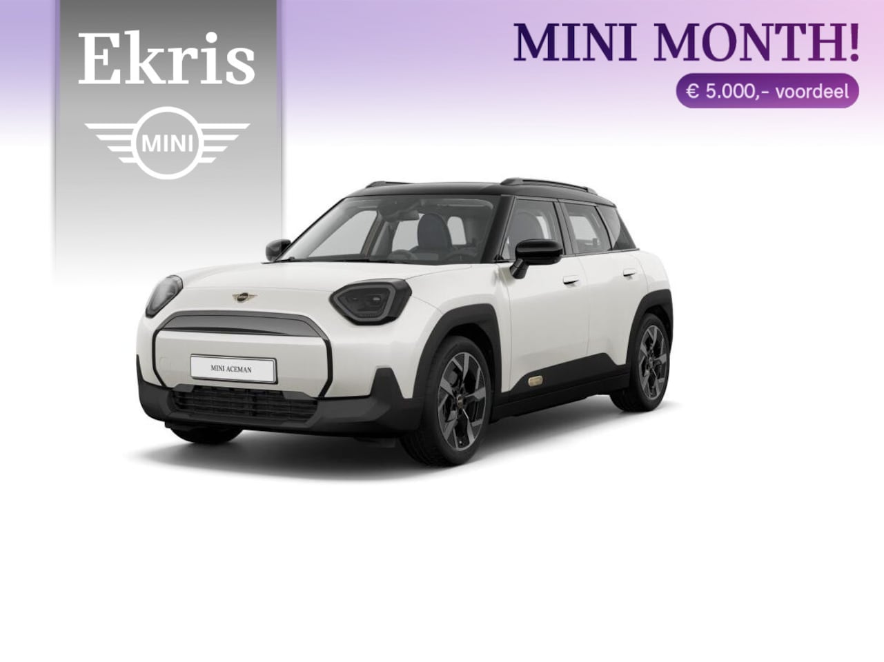 MINI Aceman - E Classic Trim + Package S - AutoWereld.nl