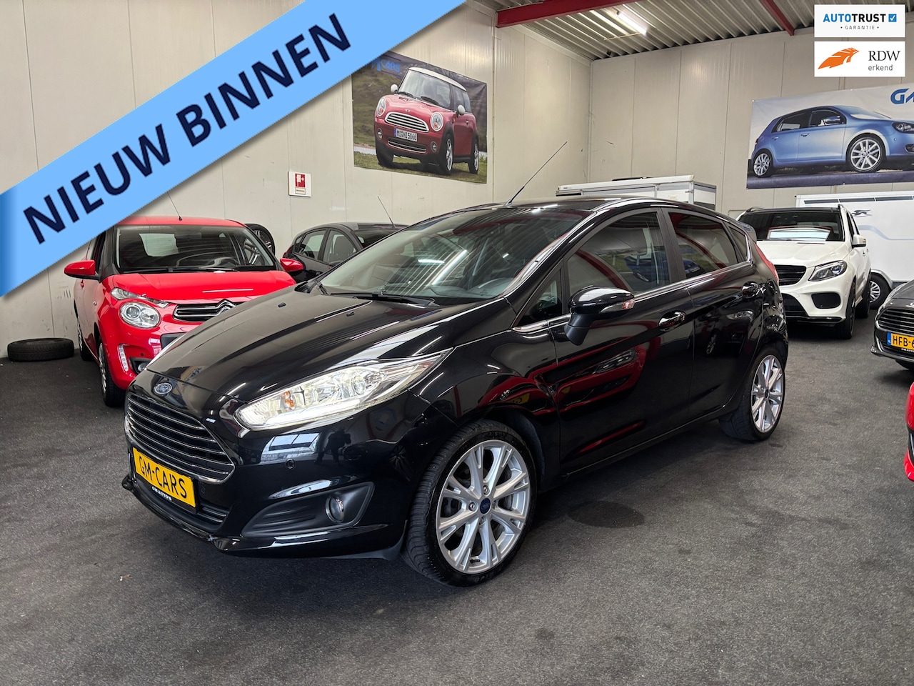 Ford Fiesta - 1.0 EcoBoost Titanium X uitvoering - AutoWereld.nl