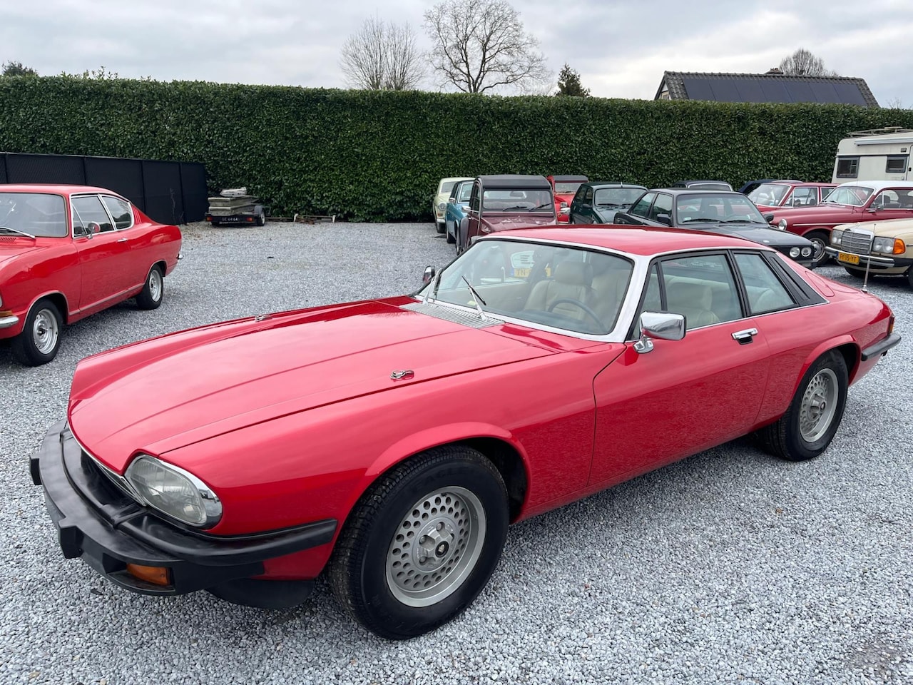 Jaguar XJS - 5.3 V12 Coupé 5.3 V12 Coupé - AutoWereld.nl