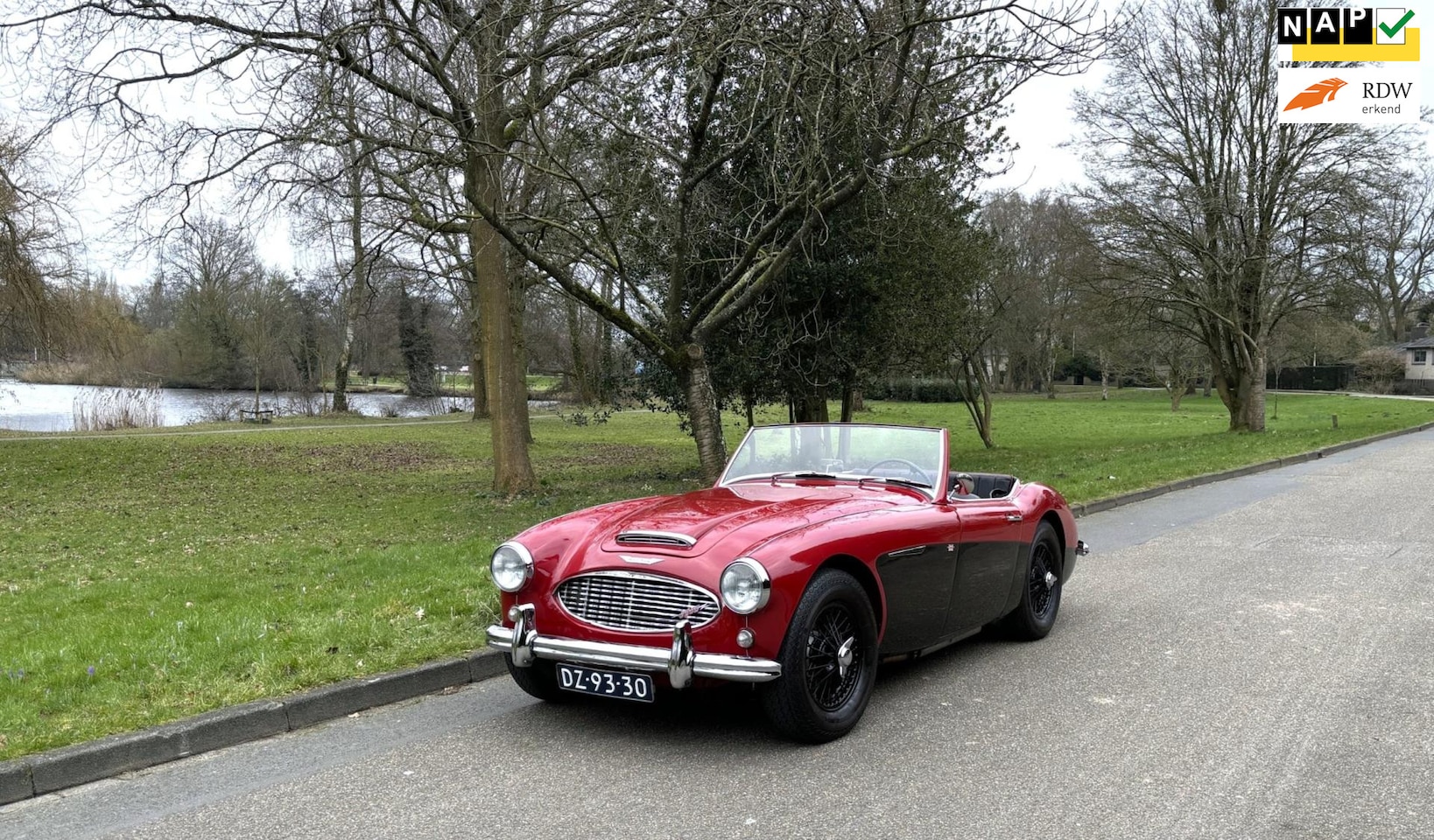 Austin Healey - AUSTIN-HEALEY 100 - AutoWereld.nl