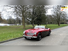 Austin Healey - AUSTIN-HEALEY 100