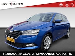 Skoda Fabia - 1.0 TSI Clever