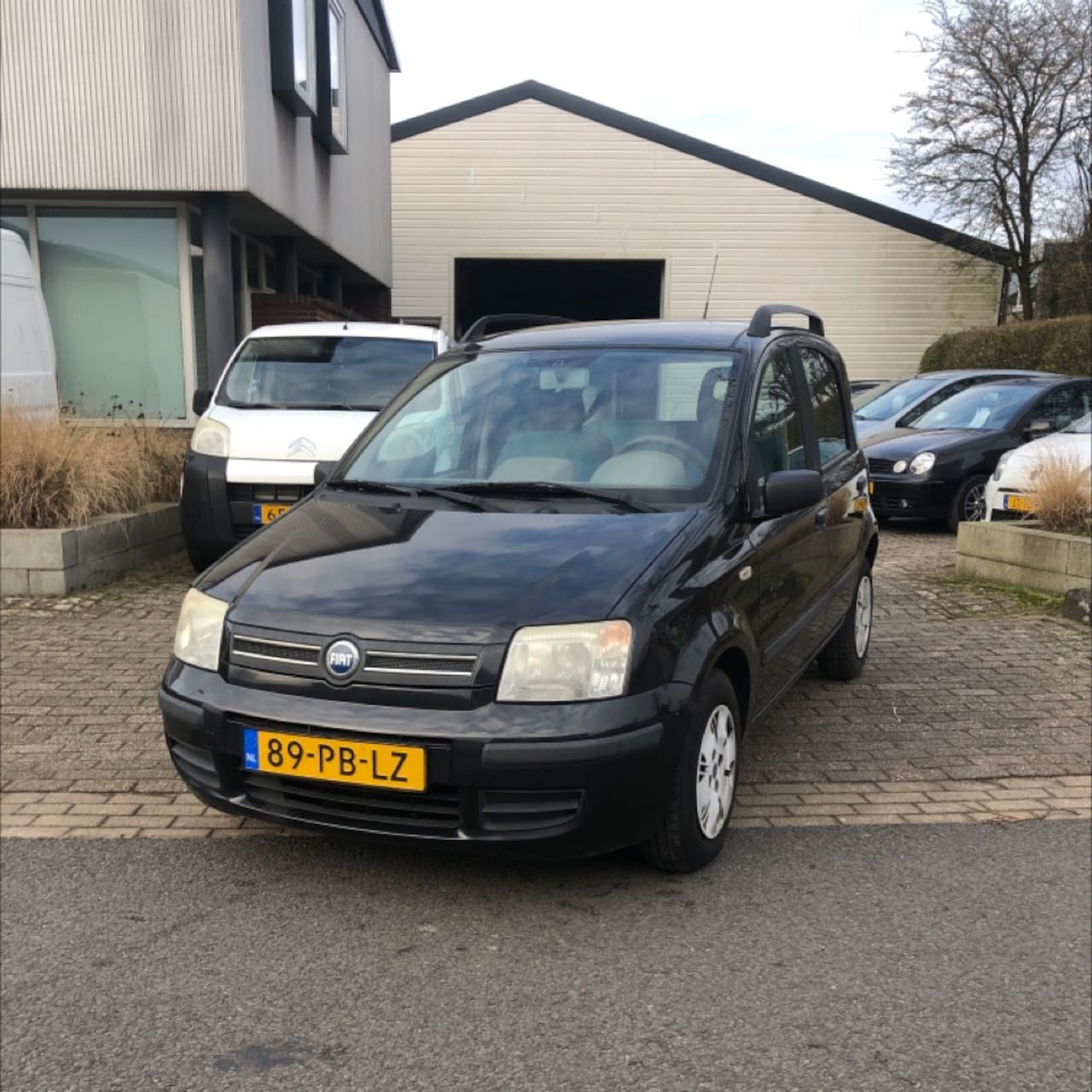 Fiat Panda - 1.2 Dynamic.Keurig nette en goed rijdende Panda. Apk 29-06-2025(eventueel nwe Apk tegen ko - AutoWereld.nl