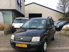 Fiat Panda - 1.2 Dynamic.Keurig nette en goed rijdende Panda. Apk 29-06-2025(eventueel nwe Apk tegen ko