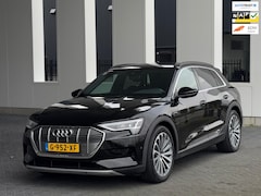 Audi e-tron - E-tron 55 quattro 95 kWh S-LINE, 21 inch, 1/2 leder, trekhaak, 1e eigenaar, nl auto met na